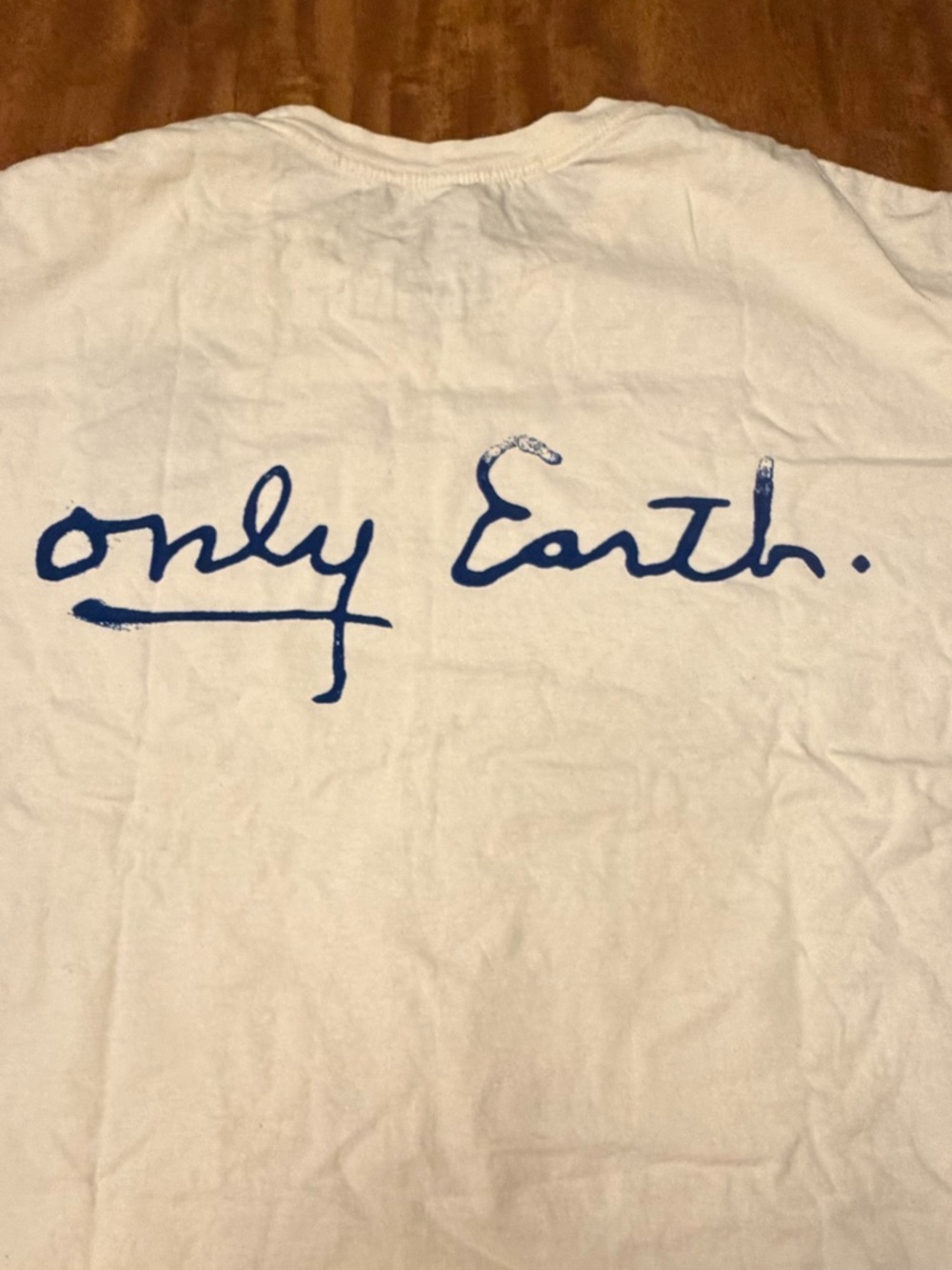 PATAGONIA men’s CTA Organic T-Shirt - ONLY EARTH UNDYED NATURAL - Picture 7 of 12